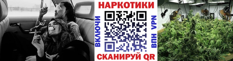 Купить наркоту Шагонар СОЛЬ  Гашиш  Конопля  COCAIN 