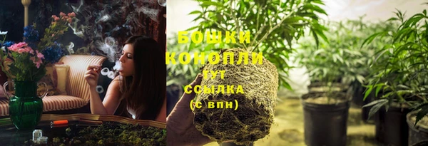ешки Надым