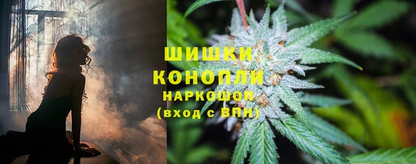 ешки Надым
