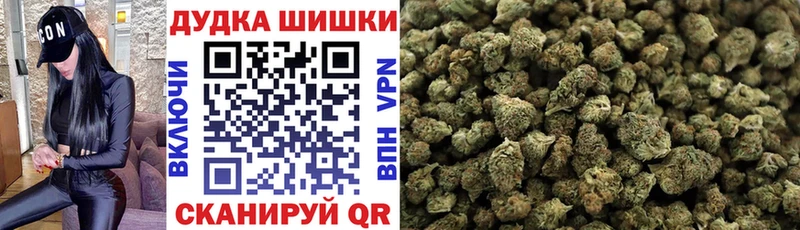 продажа наркотиков  Шагонар  Бошки Шишки OG Kush 